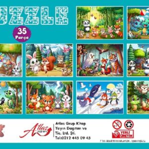 Puzzle 35 Parça 10 Çeşit 10’lu Paket