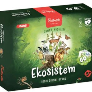 Ekosistem Besin Zinciri Kutu Oyunu Midi