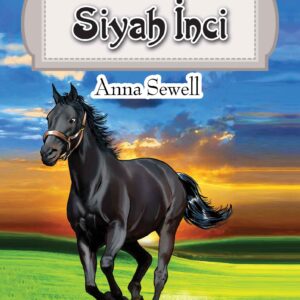 Dünya Çocuk Klasikleri Dizisi Siyah İnci