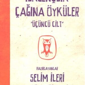 İlkgençlik Çağına Öyküler - 3. Cilt