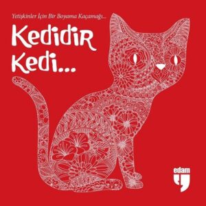 Kedidir Kedi...