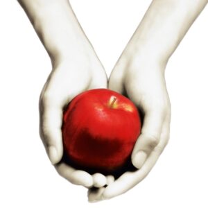 Alacakaranlık (Ciltli)