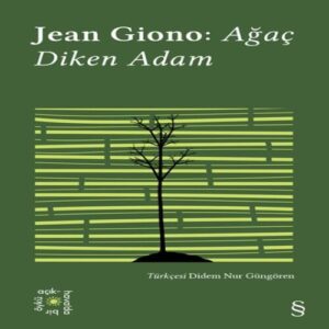 Ağaç Diken Adam -  Açıkhava 17