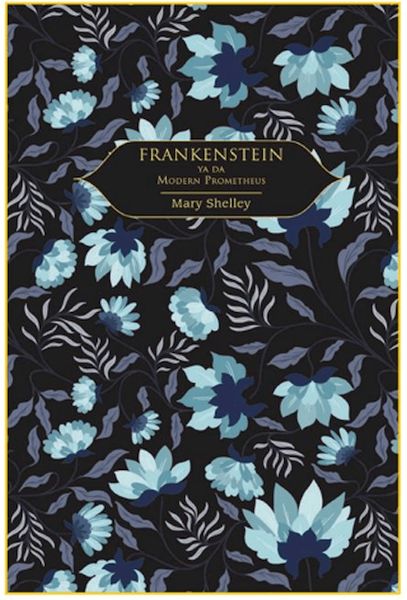 Frankenstein - Görsel 2