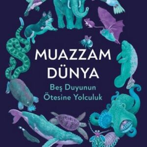 Muazzam Dünya: Beş Duyunun Ötesine Yolculuk