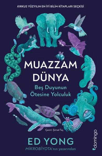 Muazzam Dünya: Beş Duyunun Ötesine Yolculuk