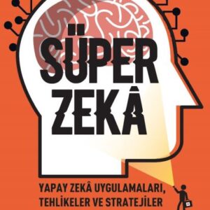 Süper Zekâ - Yapay Zekâ Uygulamaları, Tehlikeler Ve Stratejiler