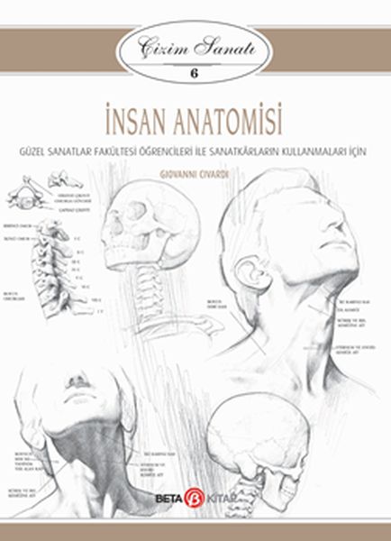 Çizim Sanatı Serisi 6 - İnsan Amisi