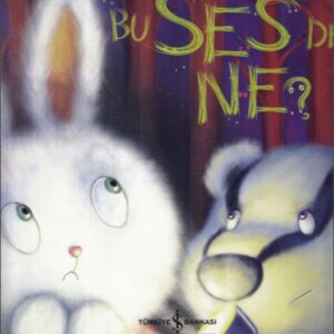 Bu Ses de Ne?