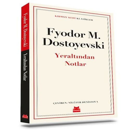 Yeraltından Notlar - Görsel 4