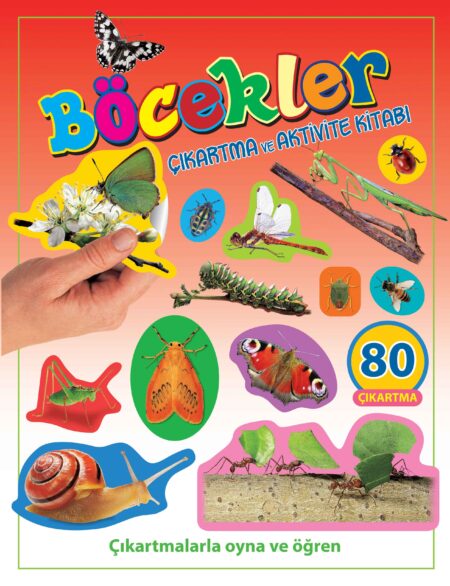 Böcekler - Çıkartma ve Aktivite Kitabı
