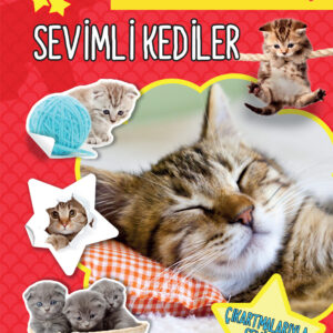 Sevimli Kediler -  Benim eğlenceli Çıkartma Kitabım