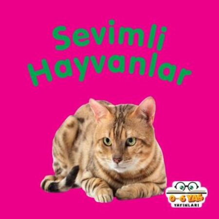 Sevimli Hayvanlar - Mini Karton lar
