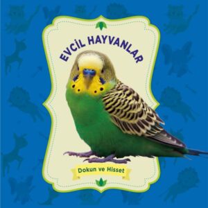 Evcil Hayvanlar - Dokun ve Hisset
