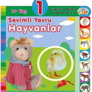 Yaş Sevimli Yavru Hayvanlar (1+Yaş)