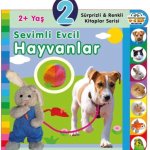Yaş Sevimli Evcil Hayvanlar (2+Yaş)