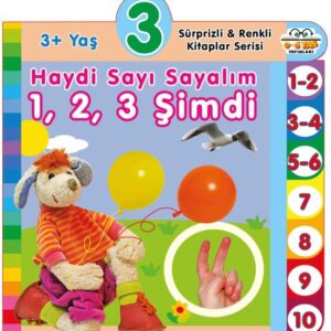 Haydi Sayı Sayalım 1,2,3 Şimdi (3+Yaş)