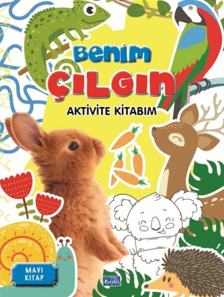 Benim Çılgın Aktivite Kitabım Mavi