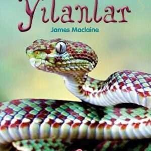 İlk Okuma - Yılanlar