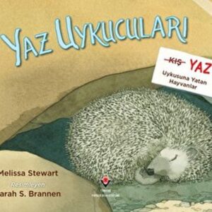 Yaz Uykucuları Yaz Uykusuna Yatan Hayvanlar