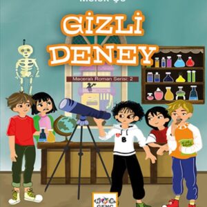 Gizli Deney