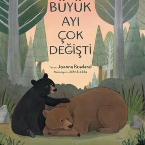 Büyük Ayı Çok Değişti