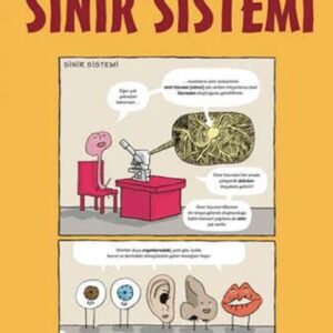 Sinir Sistemi - Gençler İçin Çizgilerle Bilim