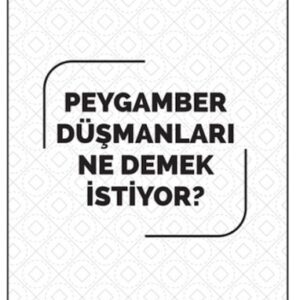 Peygamber düşmanları ne demek istiyor?