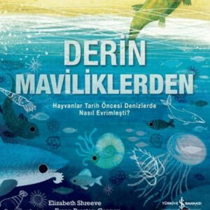 Derin Maviliklerden