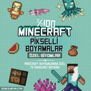 %100 Minecraft Pikselli Boyamalar Özel Biyomlar