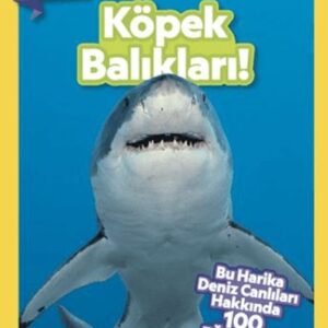 Kids - Köpek Balıkları!