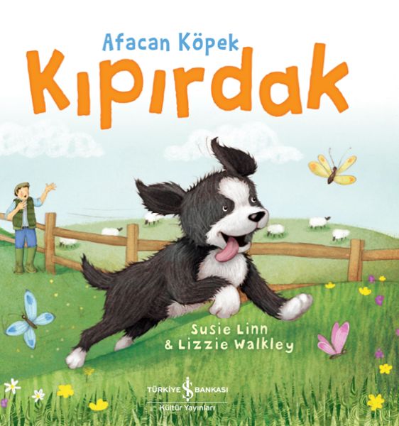 Afacan Köpek Kıpırdak