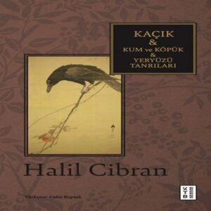 Kaçık & Kum ve Köpük & Yeryüzü Tanrıları