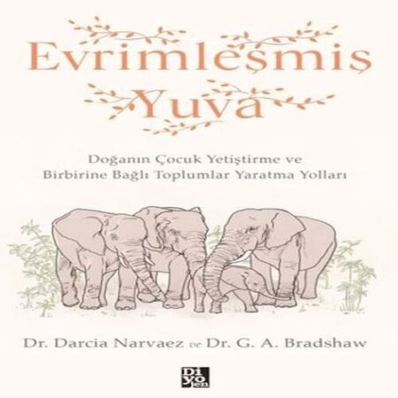 Evrimleşmiş Yuva