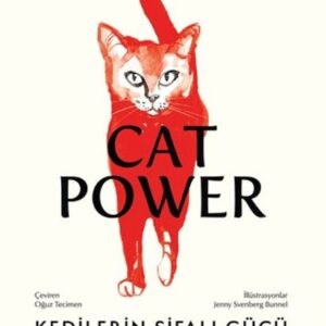 Kedilerin Şifalı Gücü