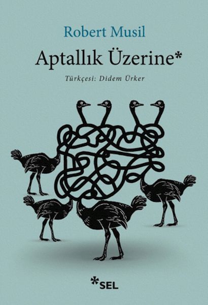 Aptallık Üzerine