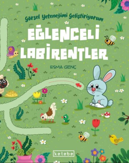 Eğlenceli Labirentler - Görsel Yeteneğimi Geliştiriyorum