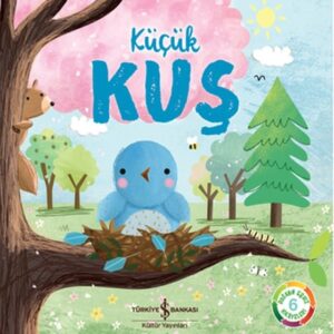 Küçük Kuş