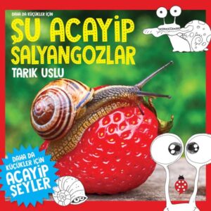 Daha Küçükler İçin Şu Acayip Salyangozlar