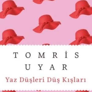 Yaz Düşleri Düş Kışları