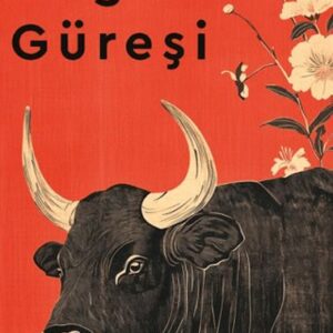 Boğa Güreşi