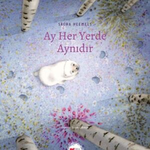 Ay Her Yerde Aynıdır