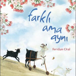Farklı Ama Aynı