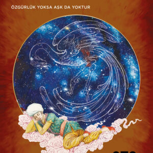 Bir Aşk Masalı