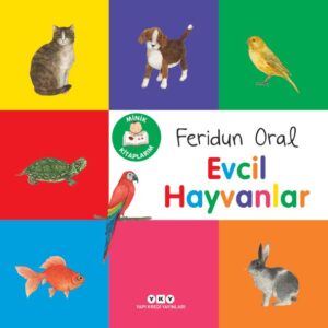 Minik larım – Evcil Hayvanlar