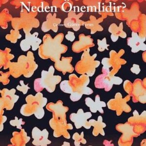 Gerçeküstücülük Neden Önemlidir?