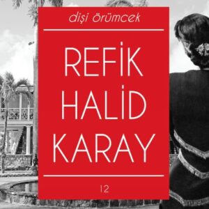Dişi Örümcek (Yeni Kapak)