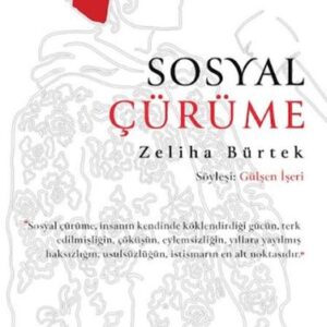 Sosyal Çürüme