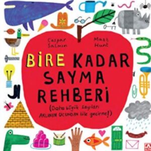 Bire Kadar Sayma Rehberi