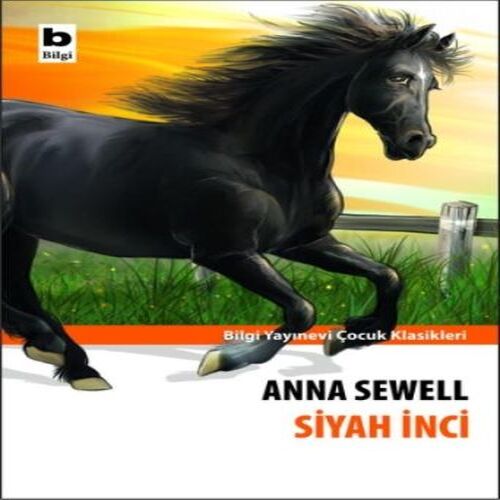 Siyah İnci - Görsel 2